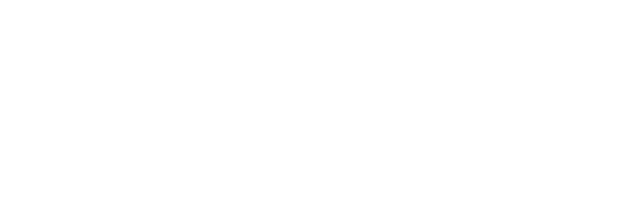 LOGO-PUMA25